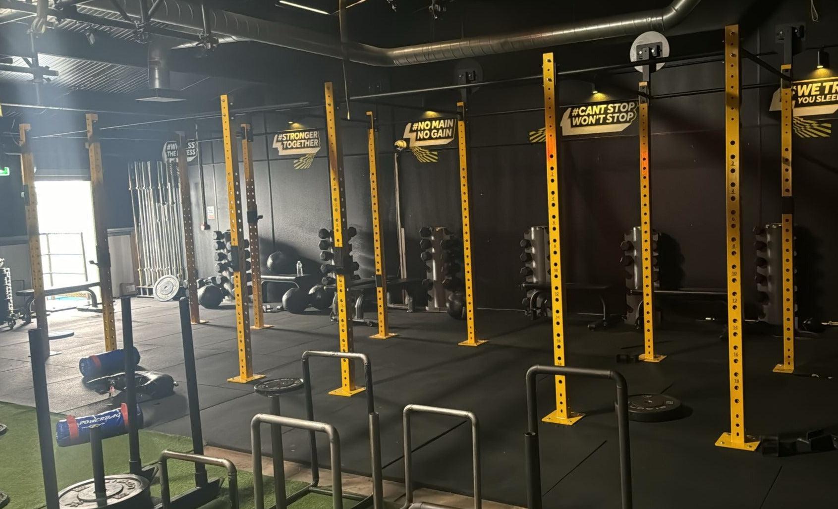 Gym Rig Crossfit Modular