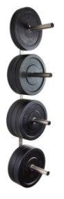 Wall and Floor Fixed Weight and Bumper Plate Storage